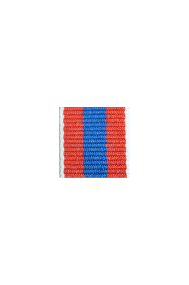 WW2 german medal,SS insignia,wehrmacht badge,ribbon bar,german ribbon,german medals WWII,german insignia,WW2 german medals,WW2 medals,german ribbon bar,WW2 order,german order,German Ribbon bar's ribbon