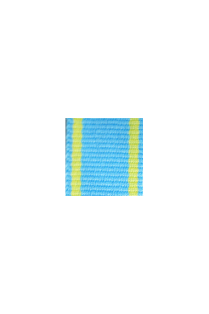 WW2 german medal,SS insignia,wehrmacht badge,ribbon bar,german ribbon,german medals WWII,german insignia,WW2 german medals,WW2 medals,german ribbon bar,WW2 order,german order,German Ribbon bar's ribbon