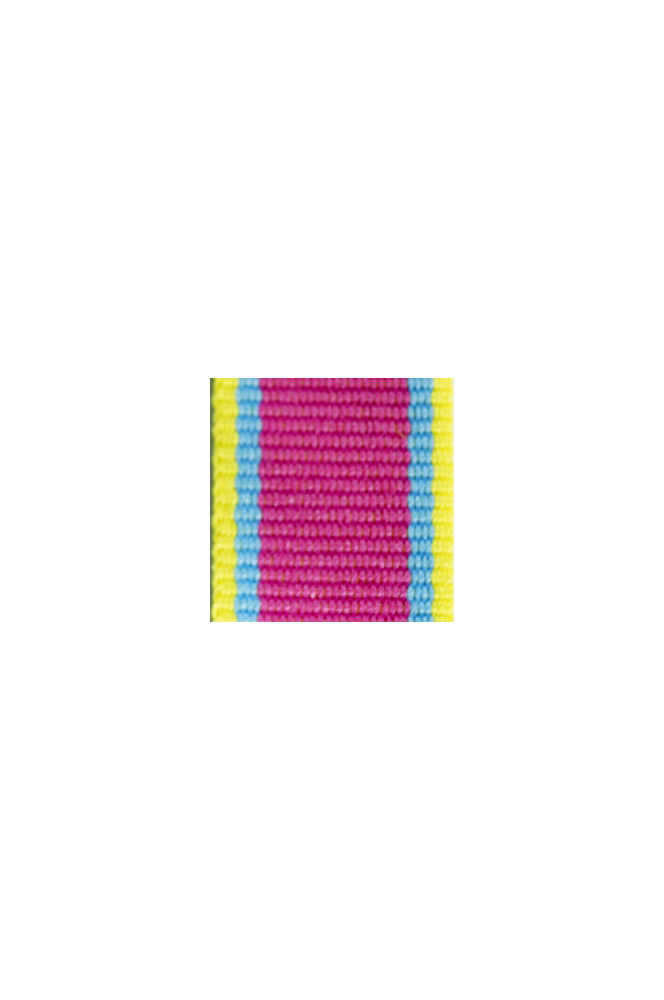 WW2 german medal,SS insignia,wehrmacht badge,ribbon bar,german ribbon,german medals WWII,german insignia,WW2 german medals,WW2 medals,german ribbon bar,WW2 order,german order,German Ribbon bar's ribbon