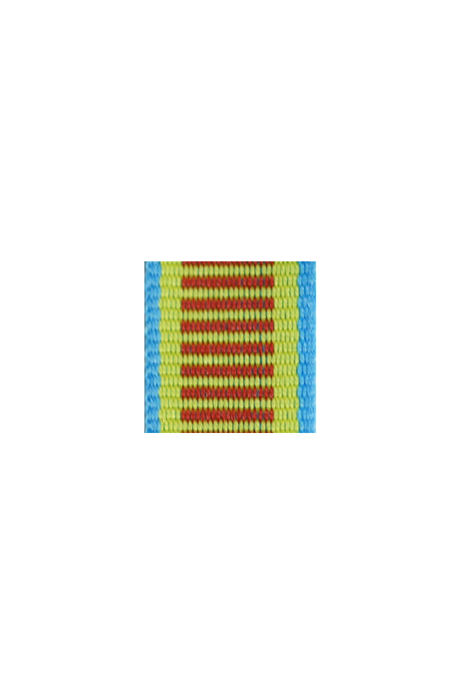 WW2 german medal,SS insignia,wehrmacht badge,ribbon bar,german ribbon,german medals WWII,german insignia,WW2 german medals,WW2 medals,german ribbon bar,WW2 order,german order,German Ribbon bar's ribbon