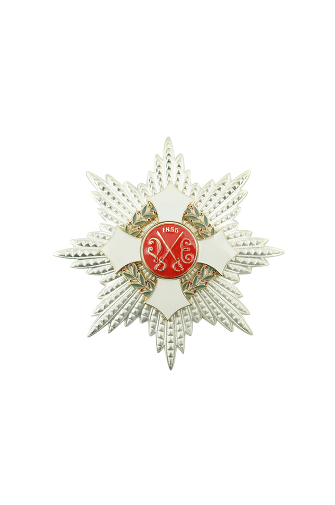 WW2 german medal,SS insignia,Imperial German badge,german badge,Savoy Rommel Star,german medals WWII,german insignia,WW2 german medals,WW2 medals,WW2 order,german order,German War Honor and Merit Cross