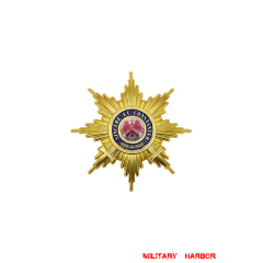 Grand Cross of the Order of the Red Eagle with Swords Breast Star WW2 german badge,SS insignia,Imperial German badge,german badge,Merit Cross,german medals WWII,german insignia,WW2 german medals,WW2 medals,WW2 order,german order,German Political and Party Awards,german medals,ww2 insignia,german badges