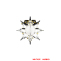 Breast Star of Order of the Bavarian Merit Cross with Swords WW2 german badge,SS insignia,Imperial German badge,german badge,Merit Cross,german medals WWII,german insignia,WW2 german medals,WW2 medals,WW2 order,german order,German Political and Party Awards,german medals,ww2 insignia,german badges