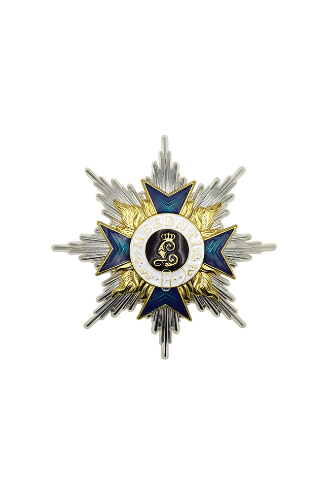 WW2 german badge,SS insignia,Imperial German badge,german badge,Merit Cross,german medals WWII,german insignia,WW2 german medals,WW2 medals,WW2 order,german order,German Political and Party Awards,german medals,ww2 insignia,german badges