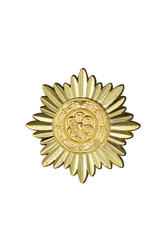 WW2 german medal,SS insignia,wehrmacht badge,iron cross,german clasp,german medals WWII,german insignia,WW2 german medals,WW2 medals,WW2 order,german order,German Iron Cross,Ostvolk Medal,Luftwaffe medal,Luftwaffe badge,SS SS badge,Kriegsmarine badge, Kriegsmarine medal,WW2 badge,WW2 medal