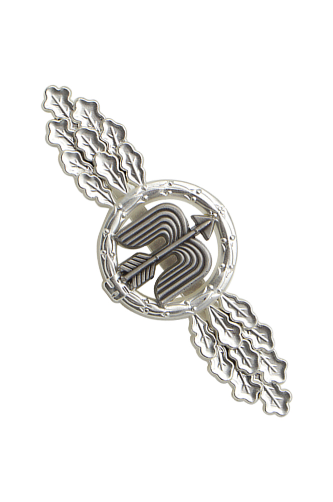 WW2 german medal,SS insignia,Imperial German badge,german badge,german medals WWII,german insignia,WW2 german medals,WW2 medals,WW2 order,german order,Short Range Day Fighter Clasp In Bronze,Clasp,Luftwaffe medal,Luftwaffe badge,SS SS badge,Kriegsmarine badge, Kriegsmarine medal,WW2 badge,WW2 medal,