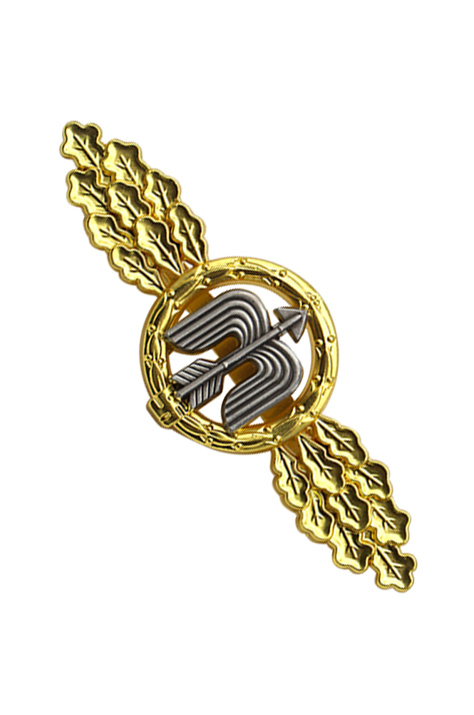 WW2 german medal,SS insignia,Imperial German badge,german badge,german medals WWII,german insignia,WW2 german medals,WW2 medals,WW2 order,german order,Short Range Day Fighter Clasp In Bronze,Clasp,Luftwaffe medal,Luftwaffe badge,SS SS badge,Kriegsmarine badge, Kriegsmarine medal,WW2 badge,WW2 medal,