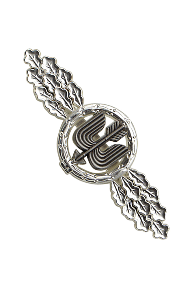 WW2 german medal,SS insignia,Imperial German badge,german badge,german medals WWII,german insignia,WW2 german medals,WW2 medals,WW2 order,german order,Long Range Day Fighter Squadron Clasp,Clasp,Luftwaffe medal,Luftwaffe badge,SS SS badge,Kriegsmarine badge, Kriegsmarine medal,WW2 badge,WW2 medal,