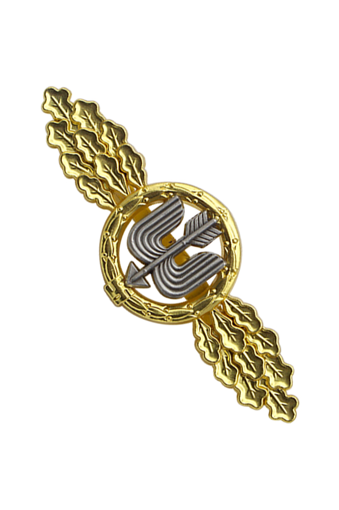 WW2 german medal,SS insignia,Imperial German badge,german badge,german medals WWII,german insignia,WW2 german medals,WW2 medals,WW2 order,german order,Long Range Day Fighter Squadron Clasp,Clasp,Luftwaffe medal,Luftwaffe badge,SS SS badge,Kriegsmarine badge, Kriegsmarine medal,WW2 badge,WW2 medal,