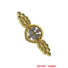 Long Range Day Fighter Squadron Clasp in Gold WW2 german medal,SS insignia,Imperial German badge,german badge,german medals WWII,german insignia,WW2 german medals,WW2 medals,WW2 order,german order,Long Range Day Fighter Squadron Clasp,Clasp,Luftwaffe medal,Luftwaffe badge,SS SS badge,Kriegsmarine badge, Kriegsmarine medal,WW2 badge,WW2 medal,