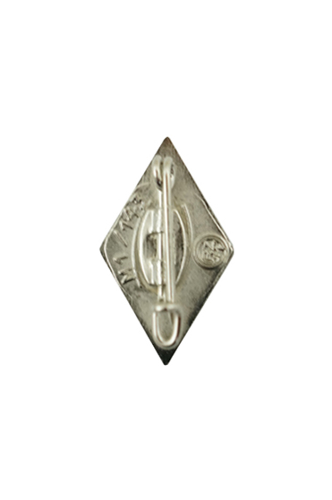 WW2 german medal,SS insignia,Imperial German badge,german badge,HJ Honor Badge,german medals WWII,german insignia,WW2 german medals,WW2 medals,WW2 order,german order,German Political and Party Awards