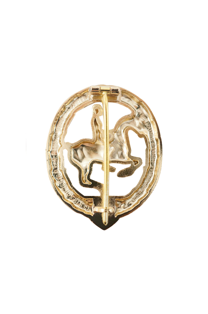 WW2 german medal,SS insignia,Imperial German badge,german badge,Horseman,german medals WWII,german insignia,WW2 german medals,WW2 medals,WW2 order,german order,German Sport Honor