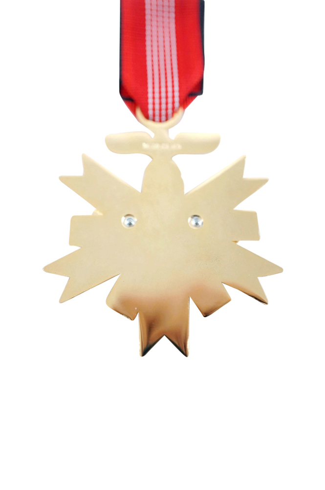 WW2 german medal,SS insignia,Imperial German badge,german badge,olympic games decoration,german medals WWII,german insignia,WW2 german medals,WW2 medals,WW2 order,german order,German Political and Party Awards