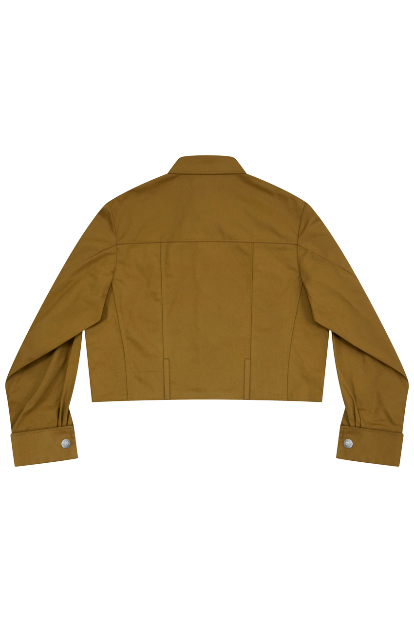 WWII German Political uniforms,German Political Party uniforms,NSDAP uniforms,ww2 german leader uniforms,Führer uniforms,Adolf Hitler uniforms