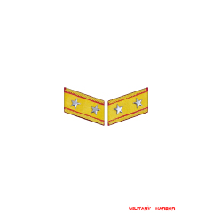 WWII Japanese IJA Army Collar Insignias M1938 Showa 13 Type 98 Lieutenant General 第二次世界大戦日本帝国陆軍98式襟章中將 WWII Japan collar insignias,WW2 japanese,japanese collar insignias,WW2 japanese badge,IJA badge,IJN badge